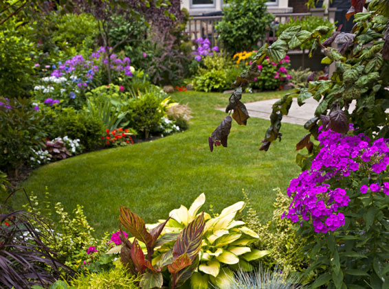 Landscaping Services