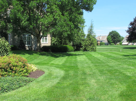 Lawn Care