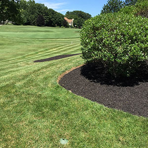 Garden & Lawn Care