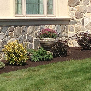 Hardscaping & Landscaping